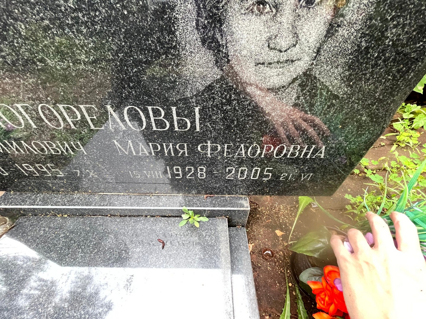 Погорелова