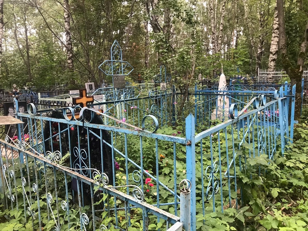 Китаев Михаил Сергеевич