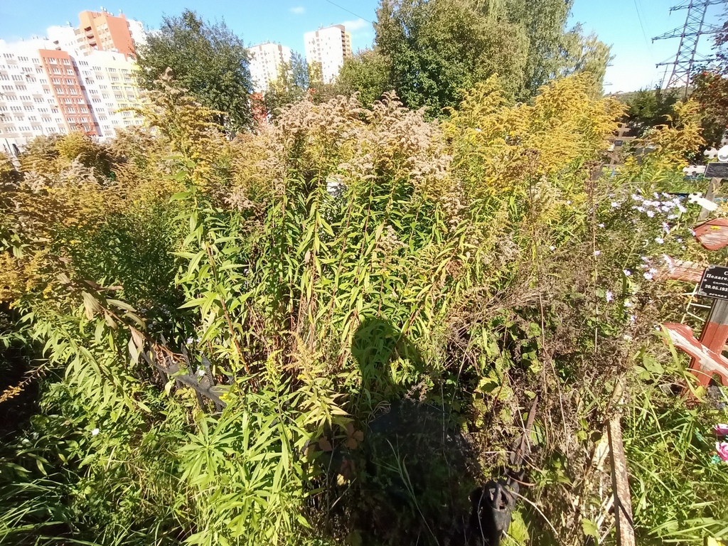 Трошина Прасковья Викуловна
