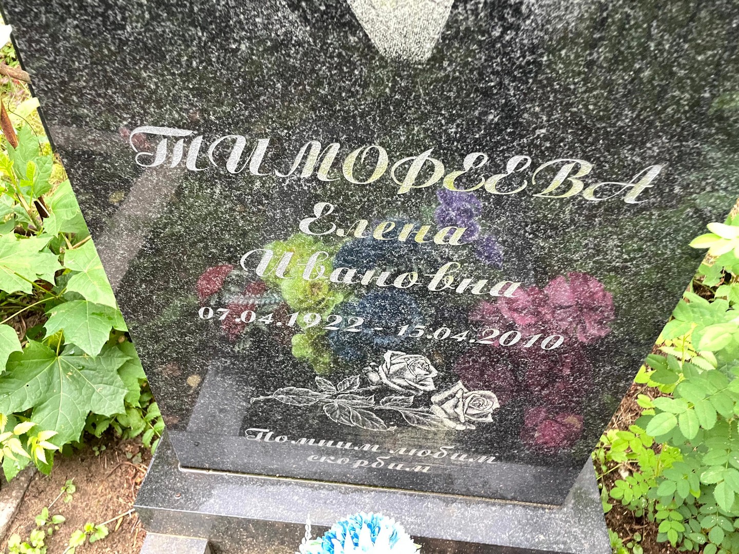Тимофеева