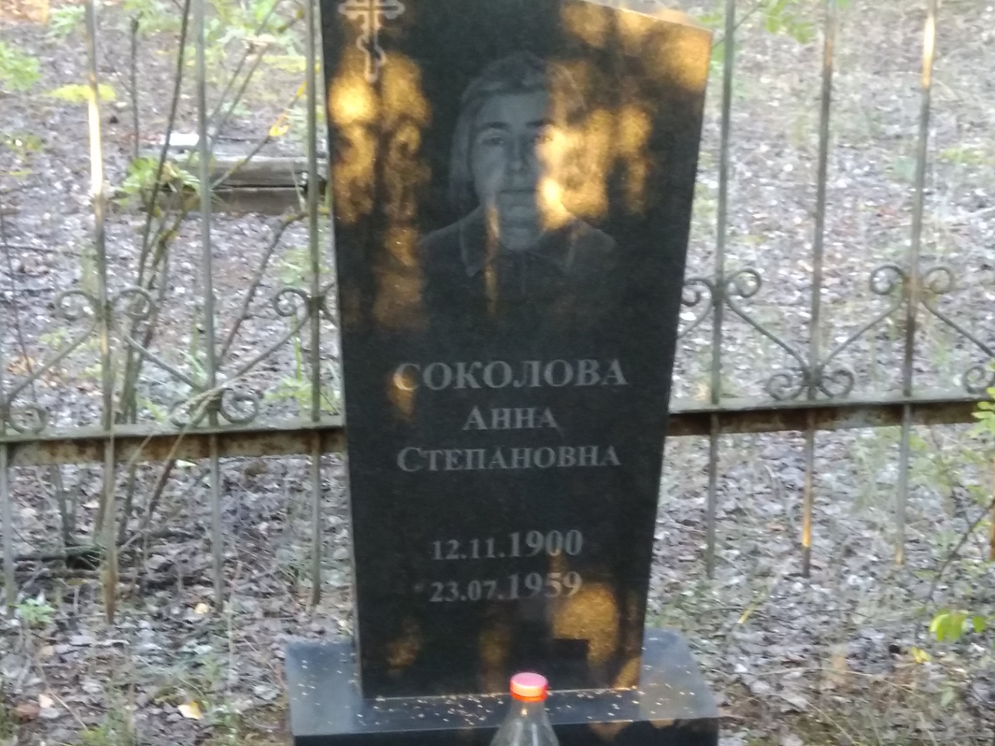 Соколова Анна Степановна