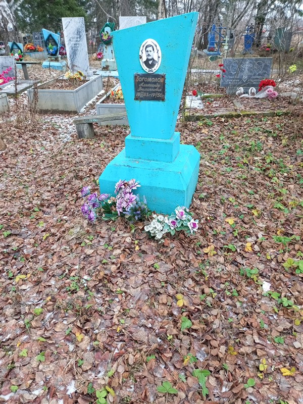 Богомолов Александр Филиппович