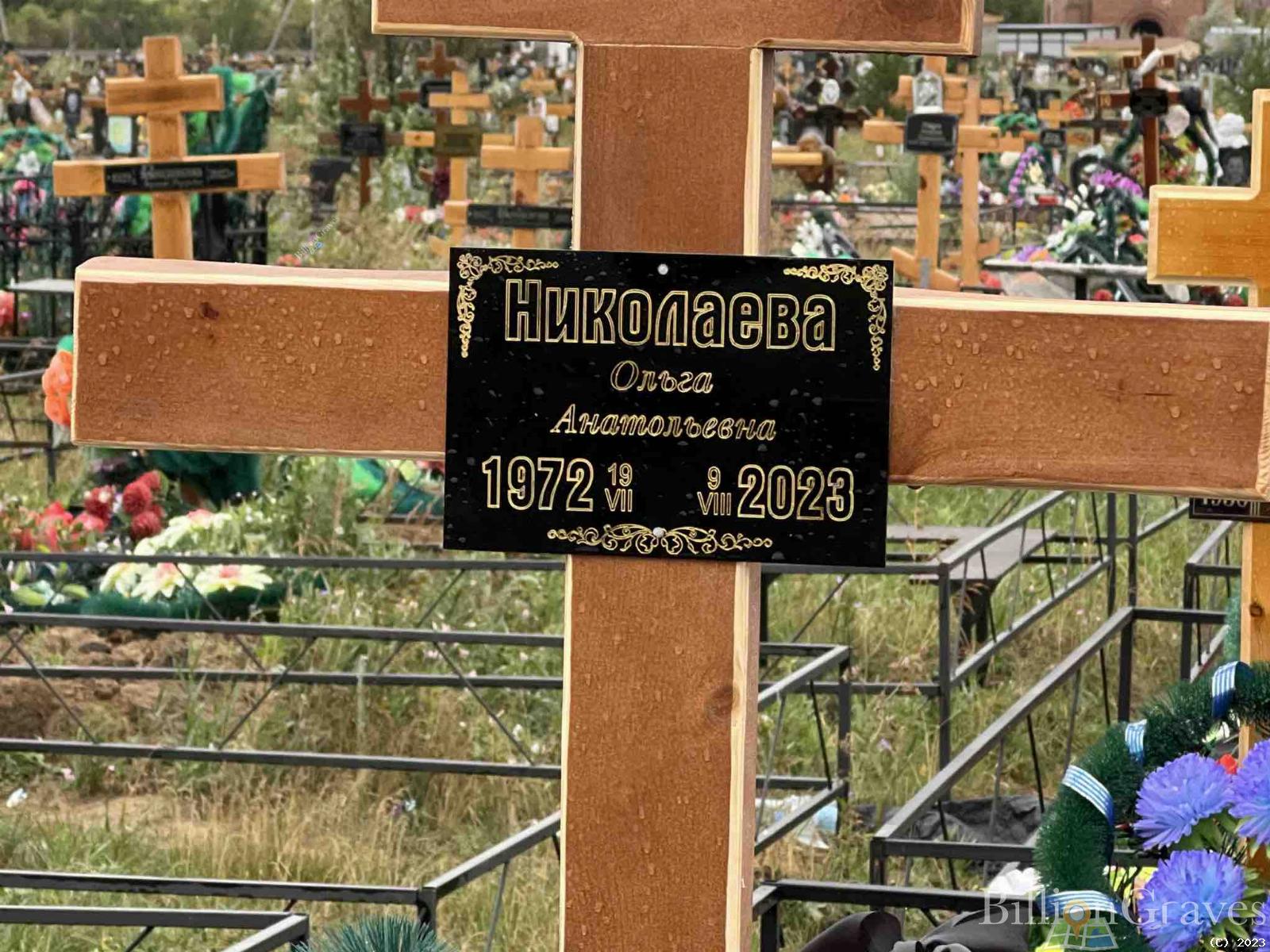 Николаева Ольга Анатольевна