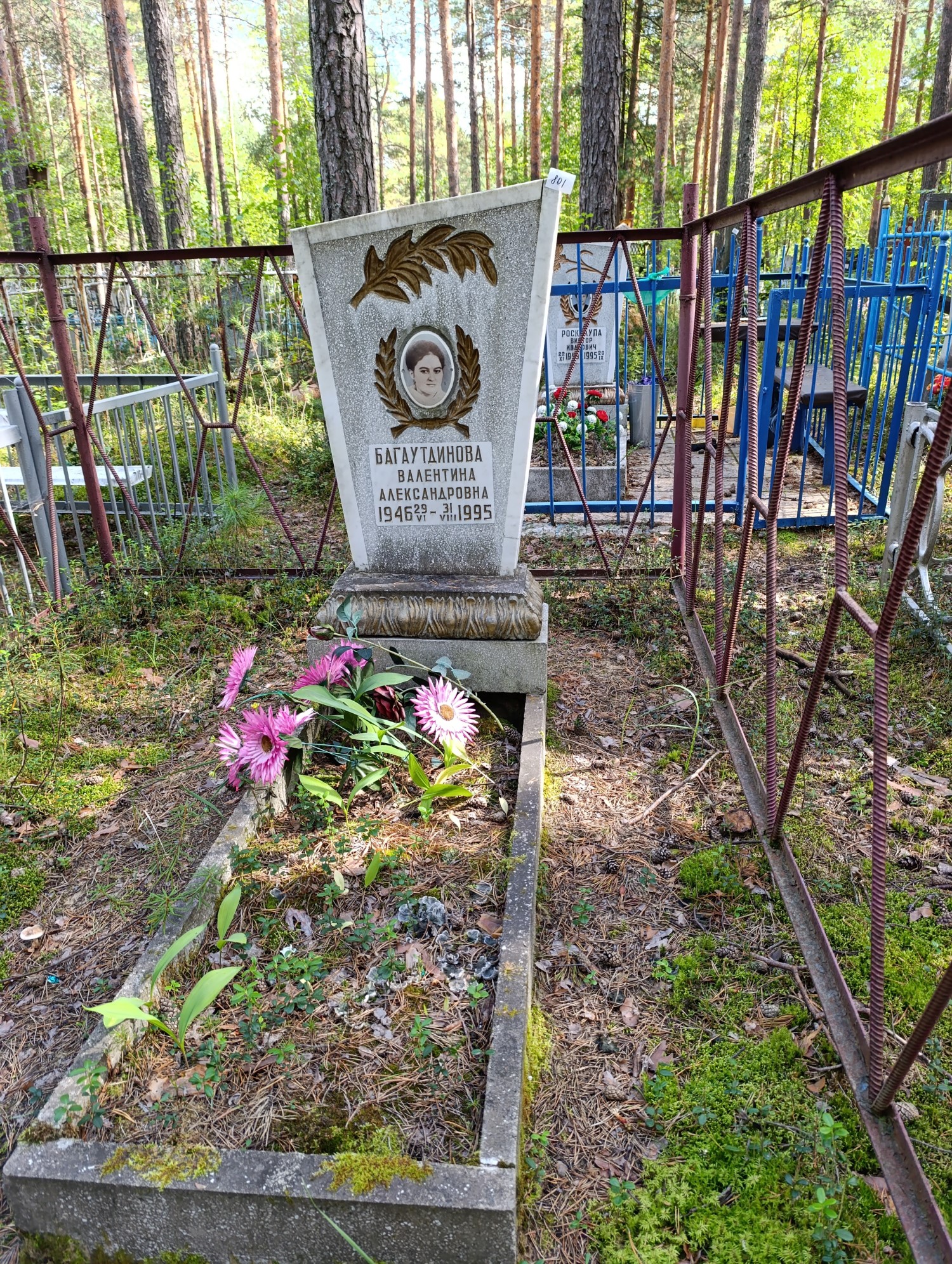 Багаутдинова Валентина Александровна