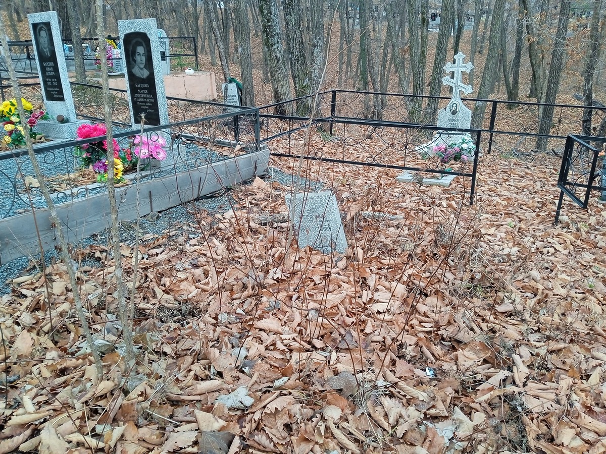 Ковалев Александр Андреевич