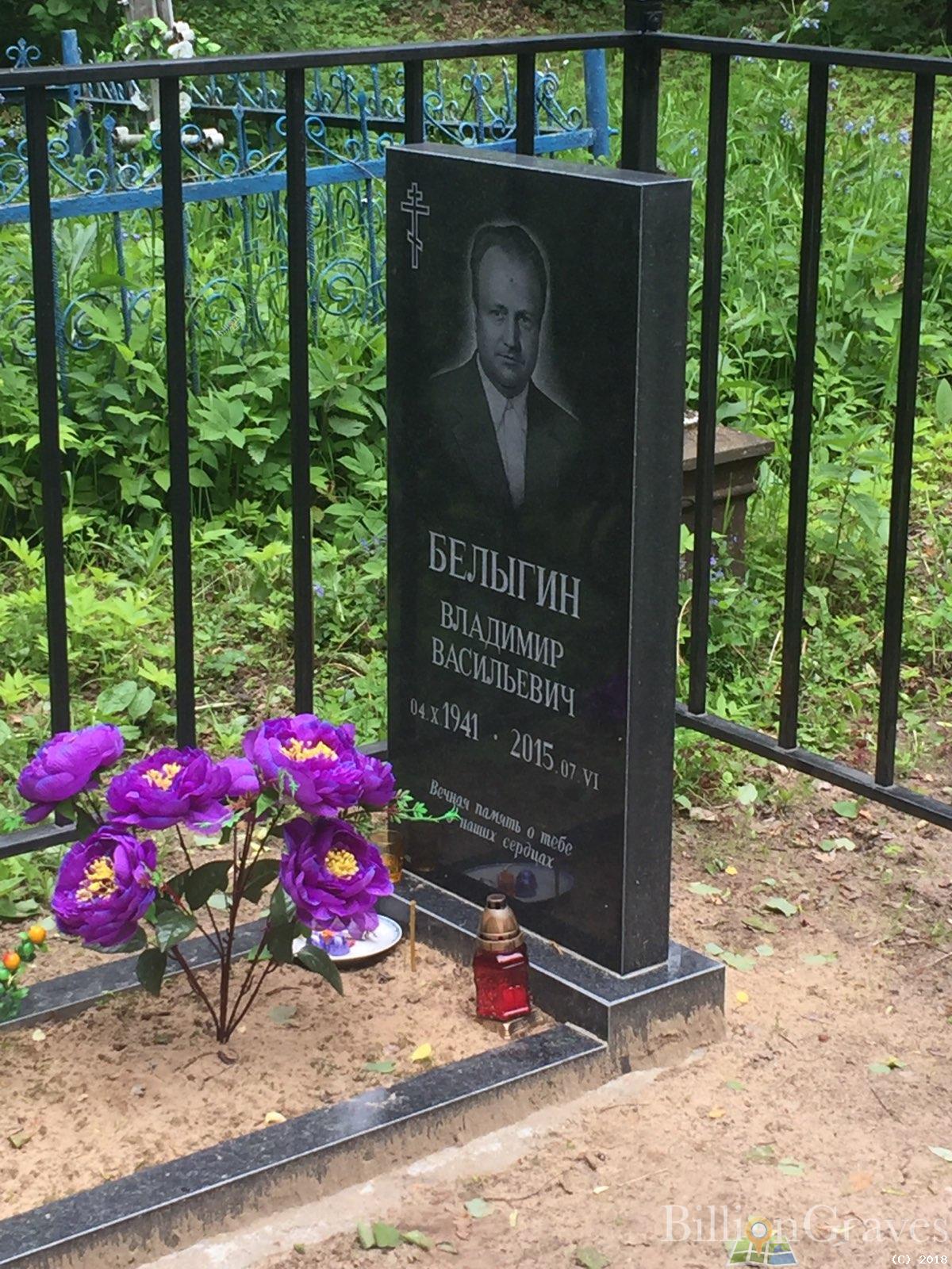 белыгин владимир васильевич