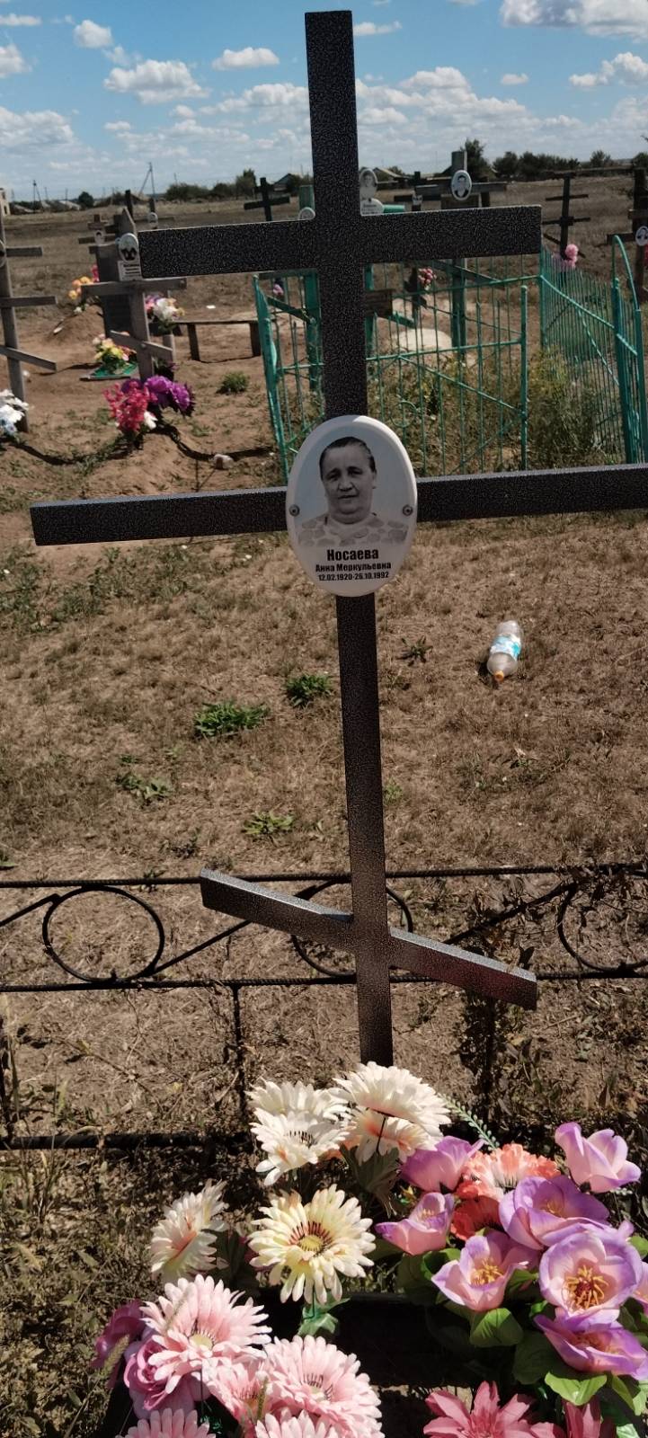 Носаева Анна Меркульевна