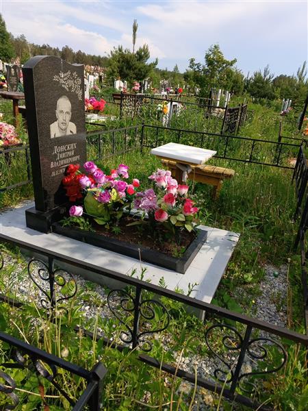 Донских Дмитрий Владимирович