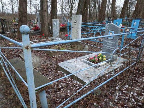 Медяник Александр Иванович