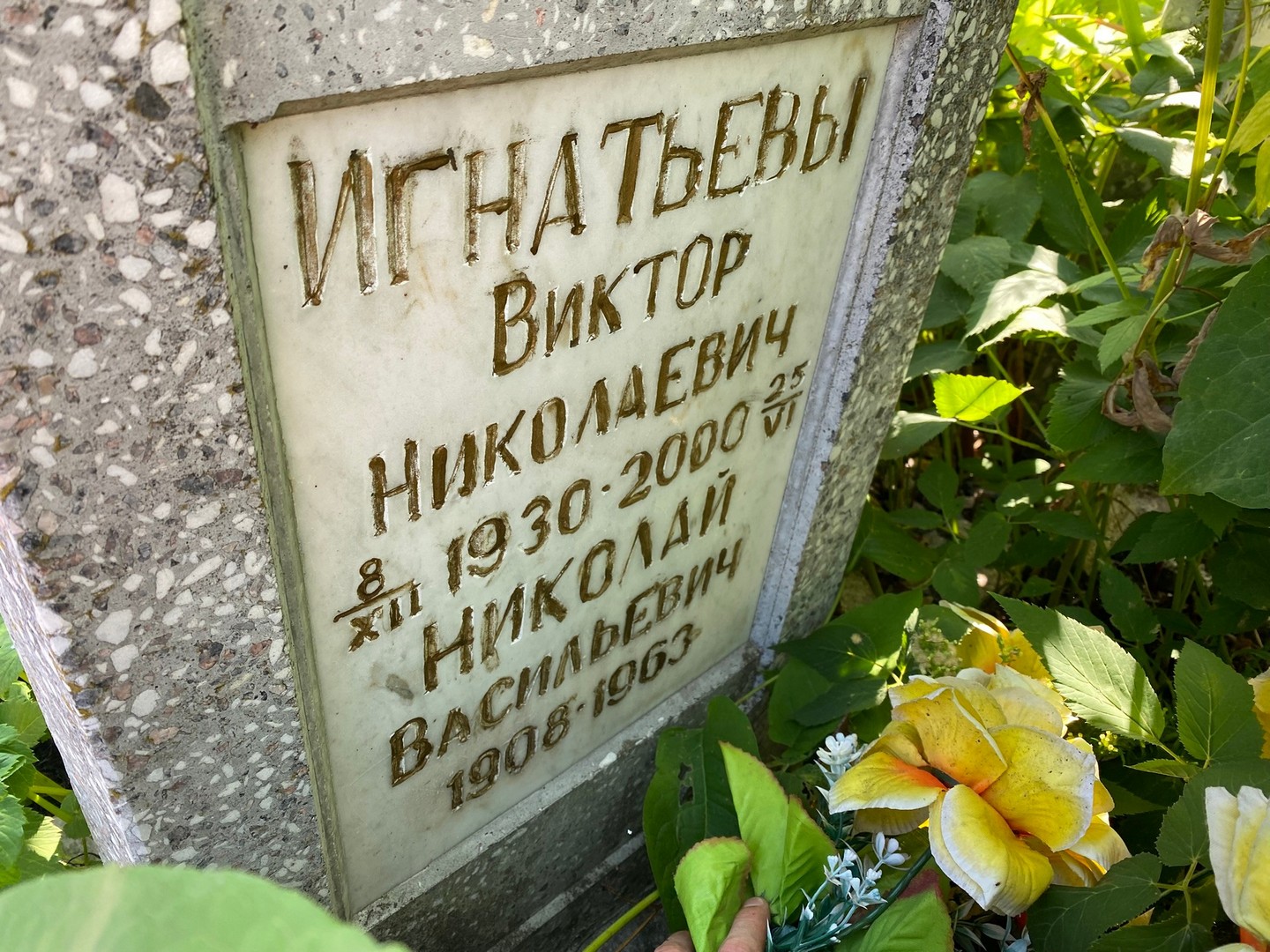 Игнатьев