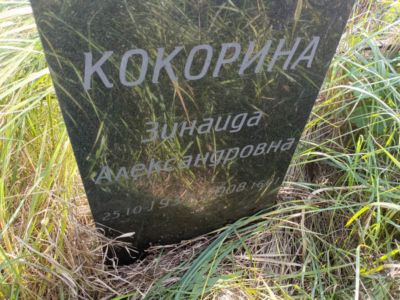 Кокорина