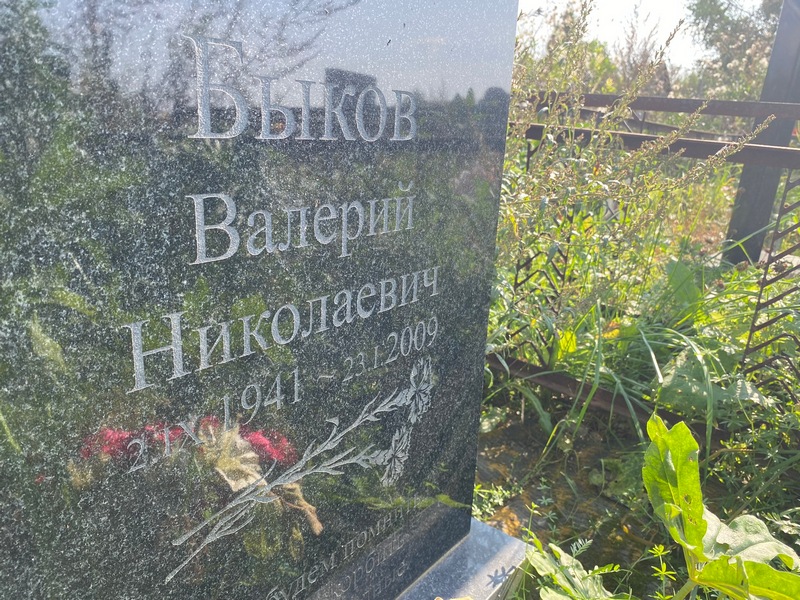 Быков