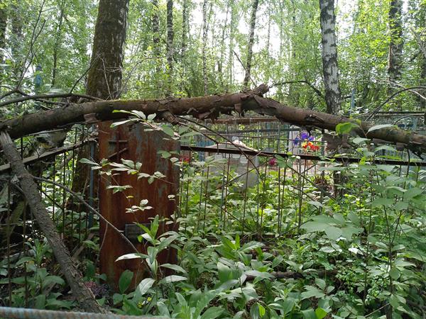 Баев Василий Осипович