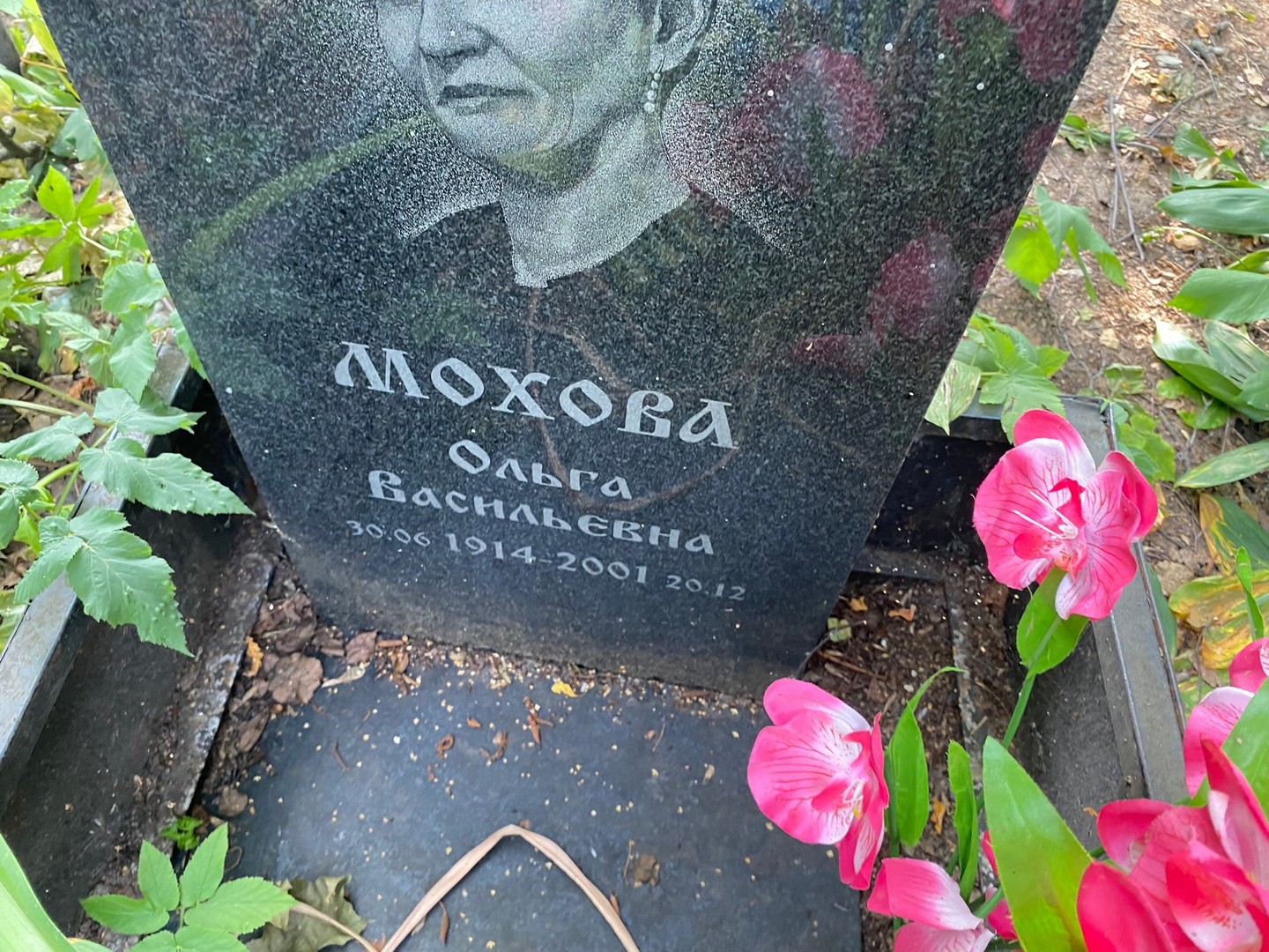 Мохова