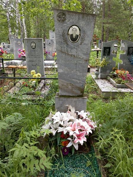 Шахмина Александра Александровна