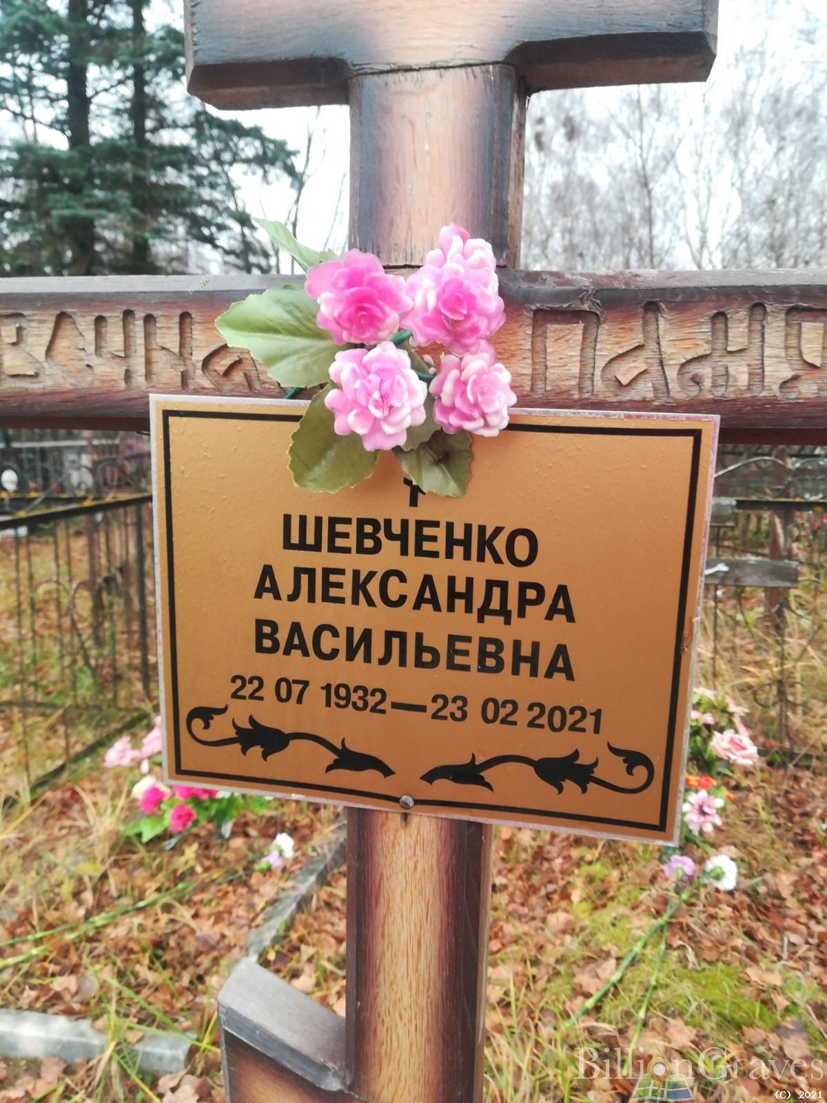 Шевченко Александра Васильевна