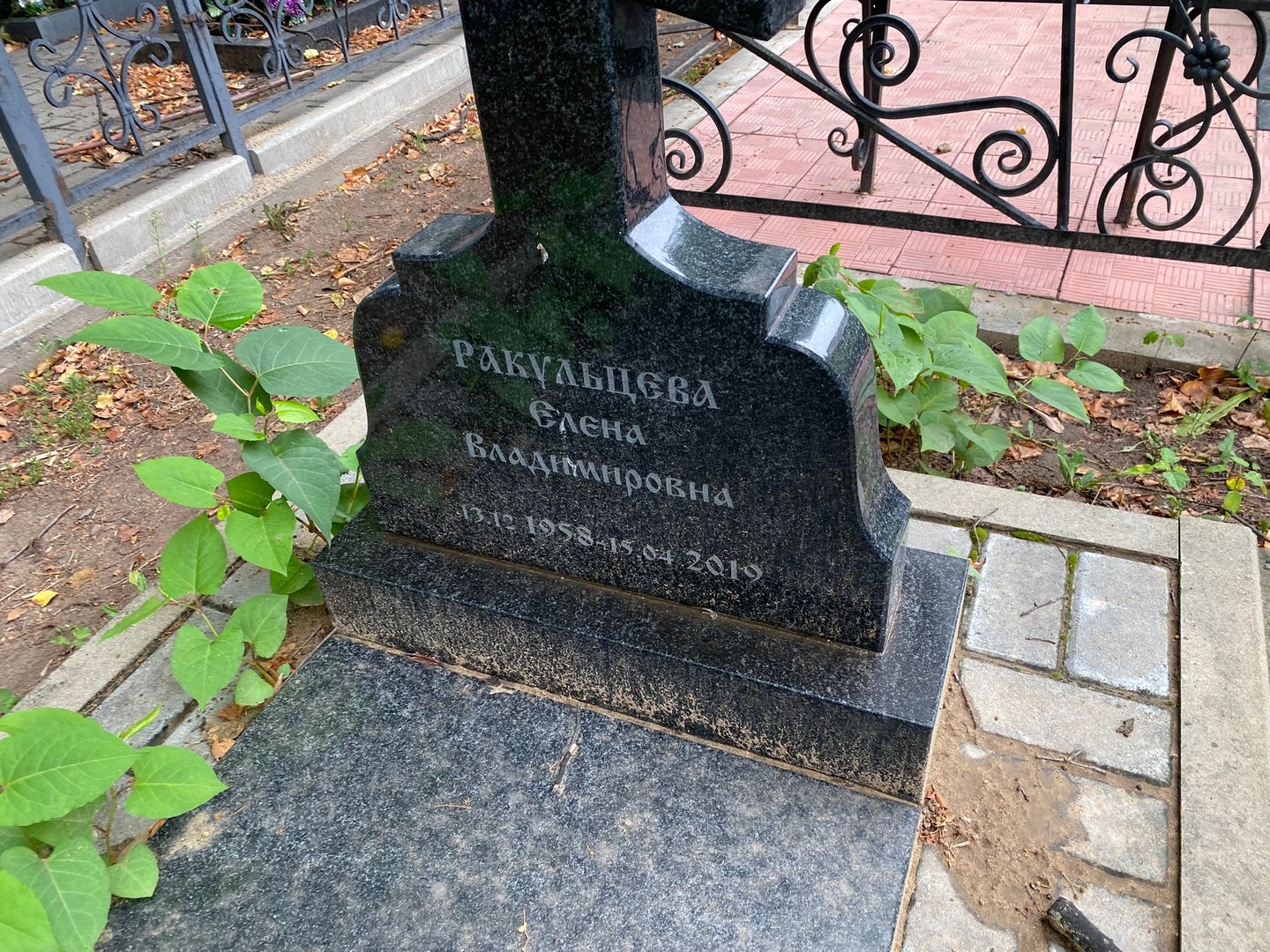 Ракульцева