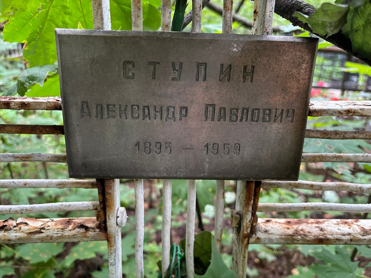 Ступин