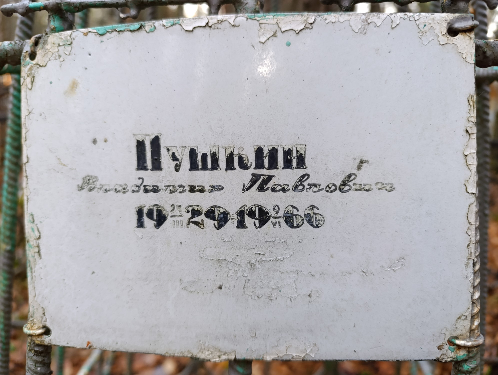 Пушкин Владимир Павлович