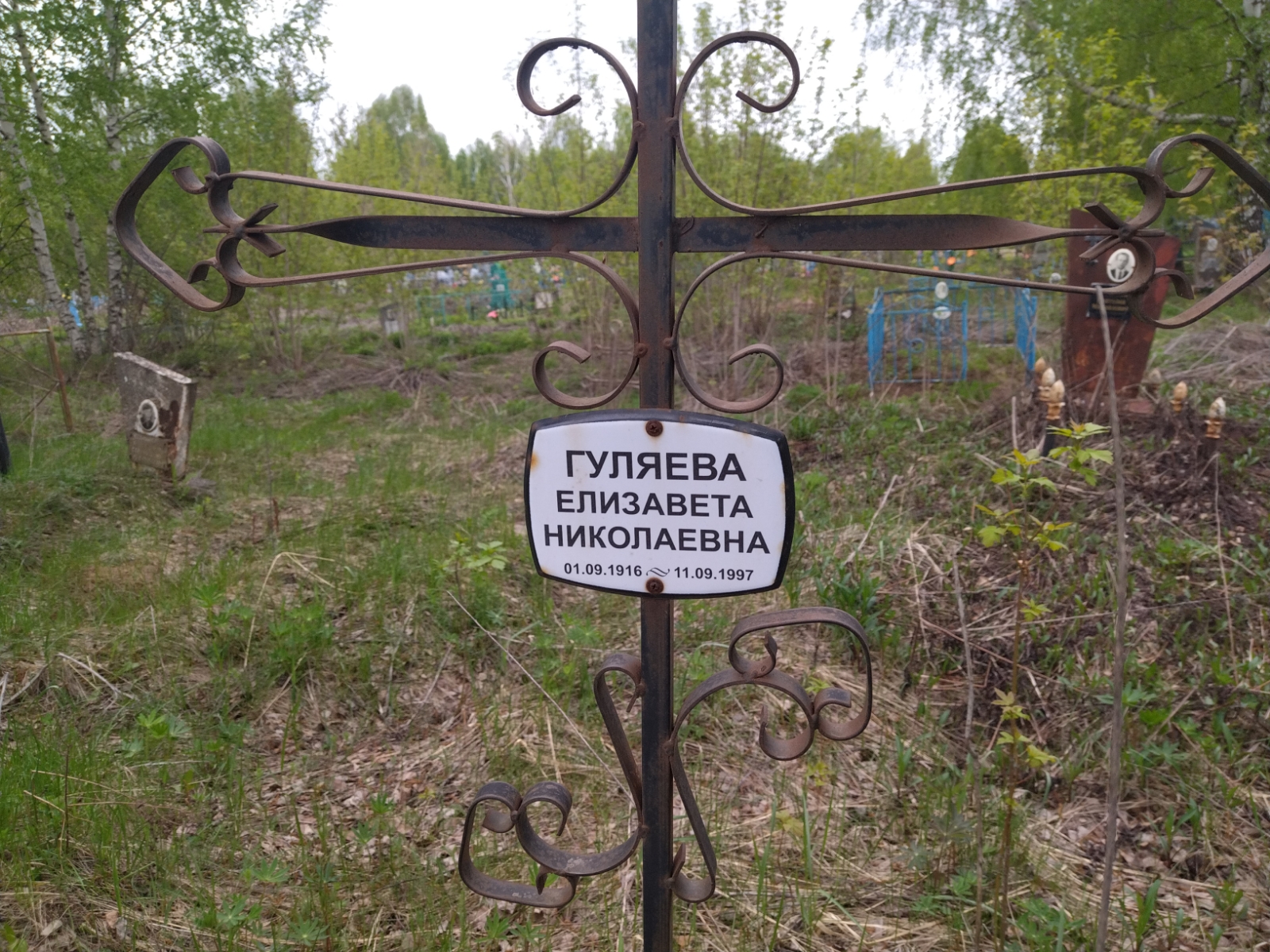Гуляева Елизавета