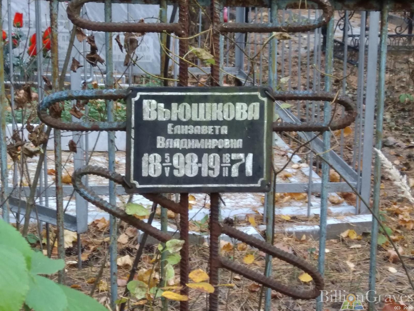 Вьюшкова Елизавета Владимировна