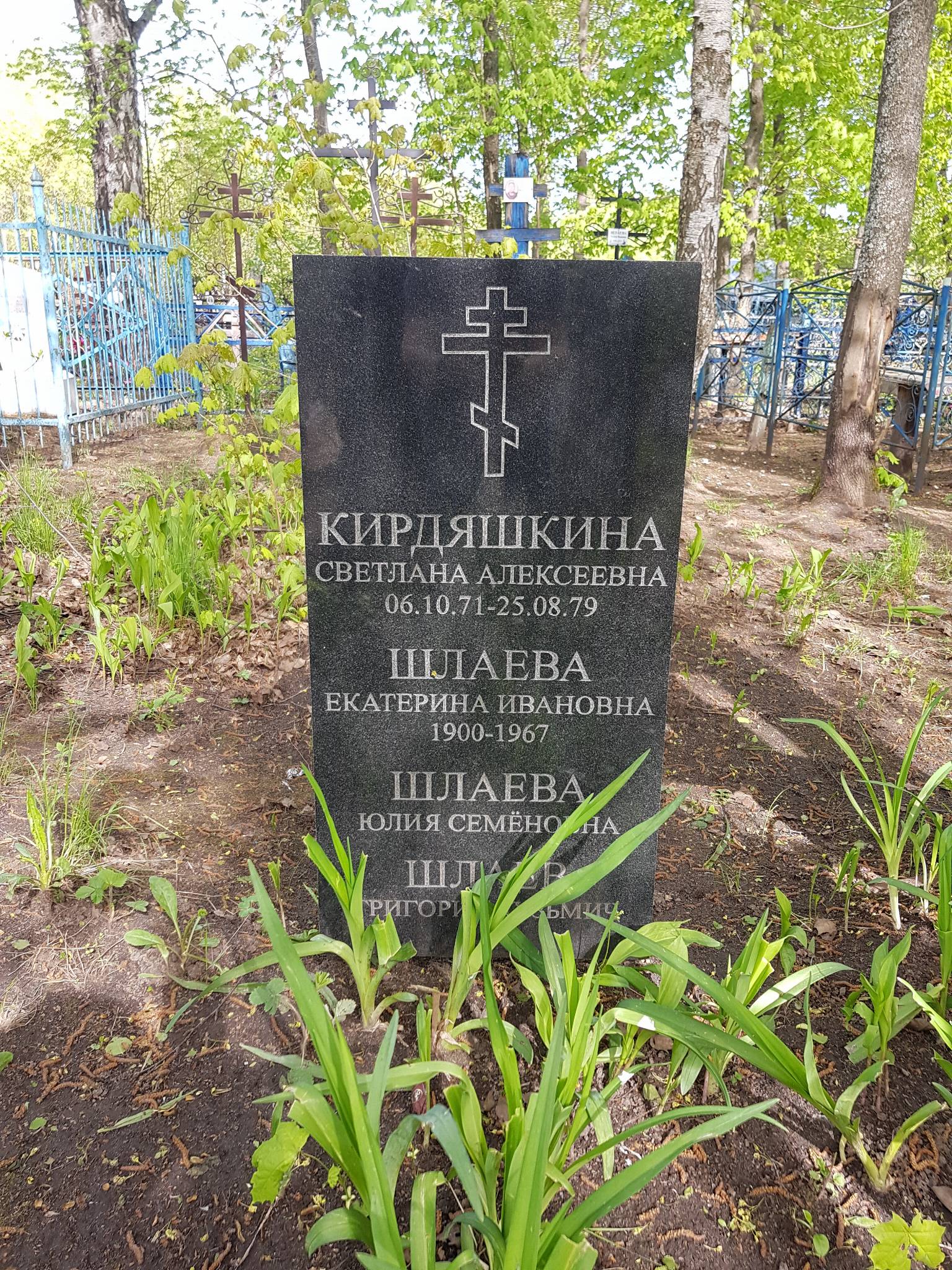 Кирдяшкина Светлана Алексеевна