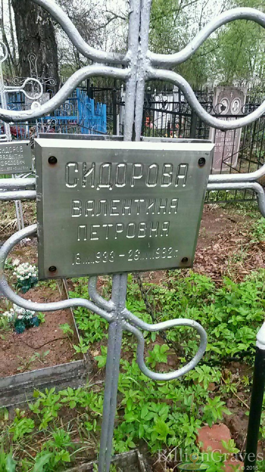 смдорова валентина петровна