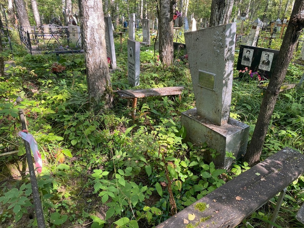 Алферова Юлия Алексеевна