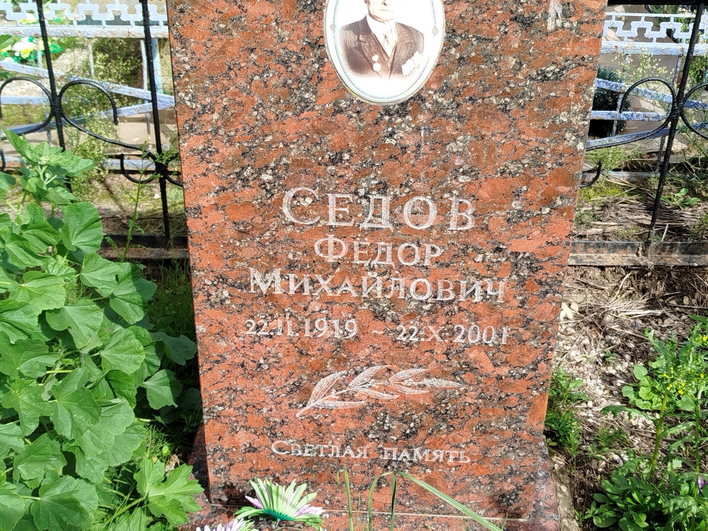 Седов