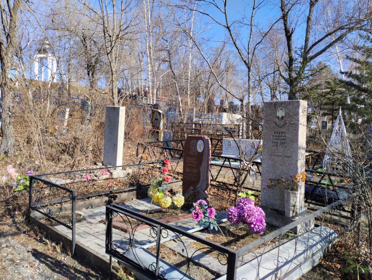 Бабич Владимир Иванович