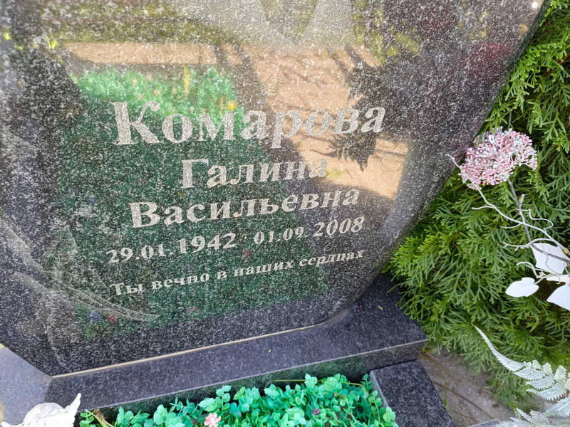 Комарова