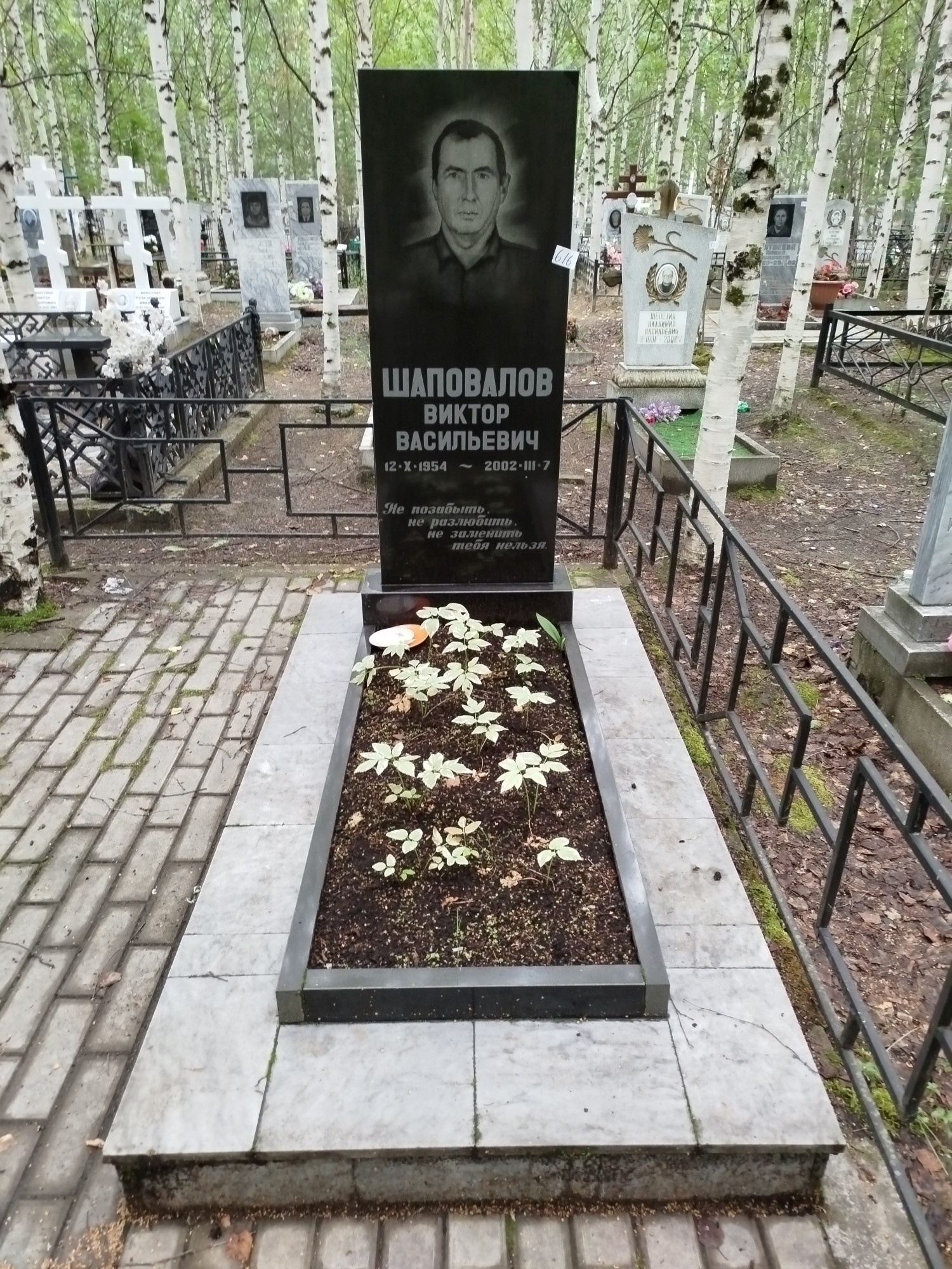 Шаповалов Виктор Васильевич