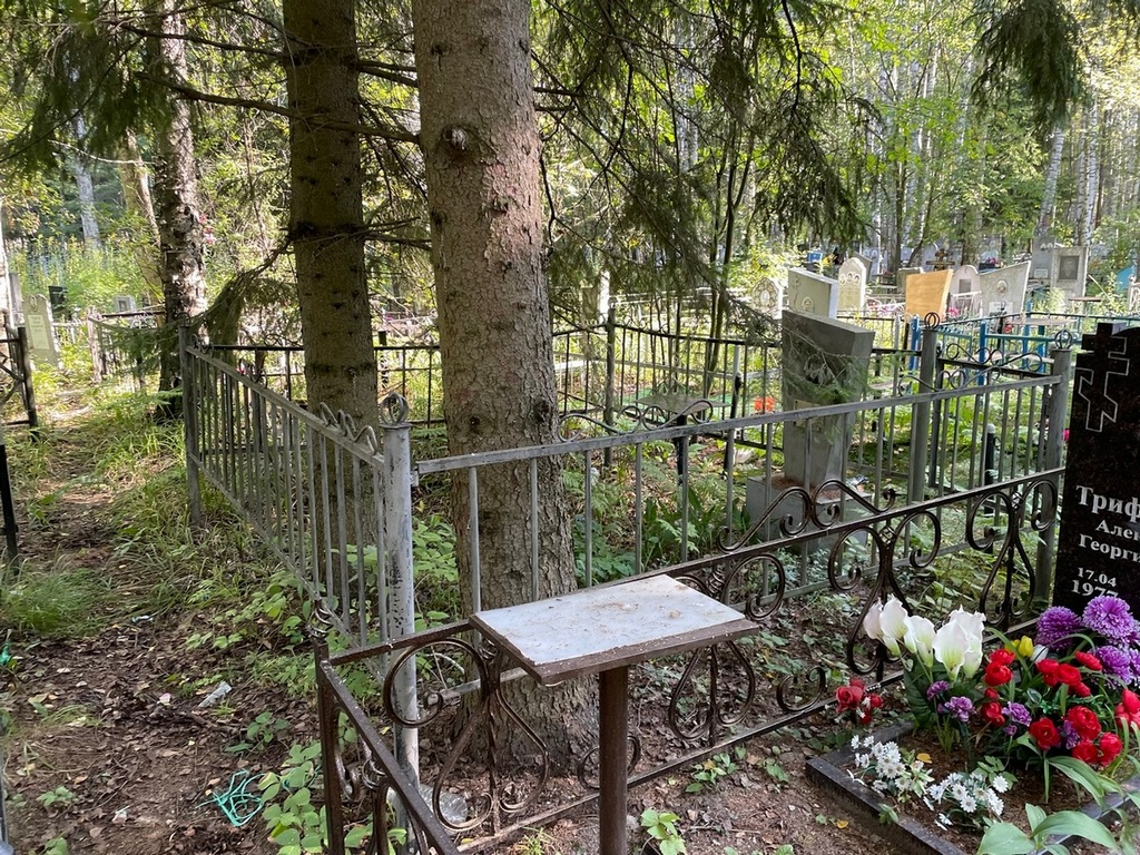 Володина Мария Дмитриевна