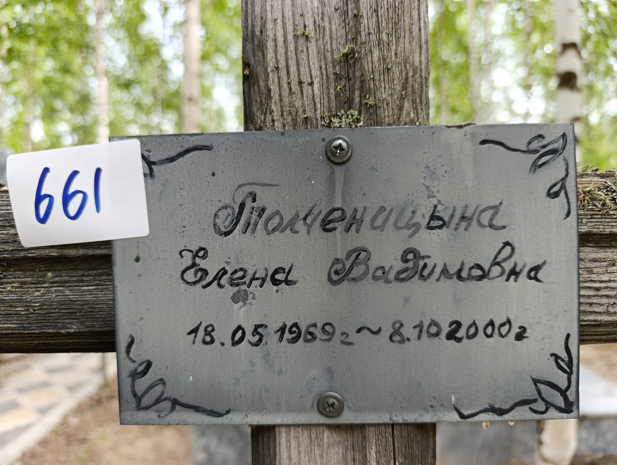 Толченицына Елена Вадимовна