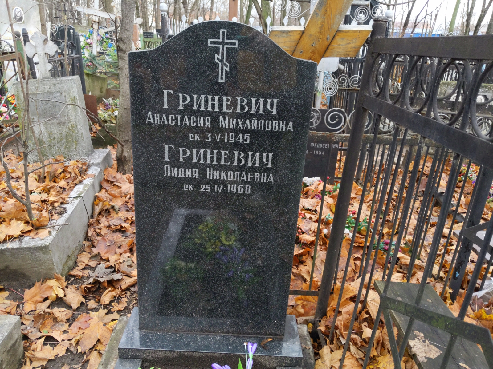 Гриневич Анастасия Михайловна