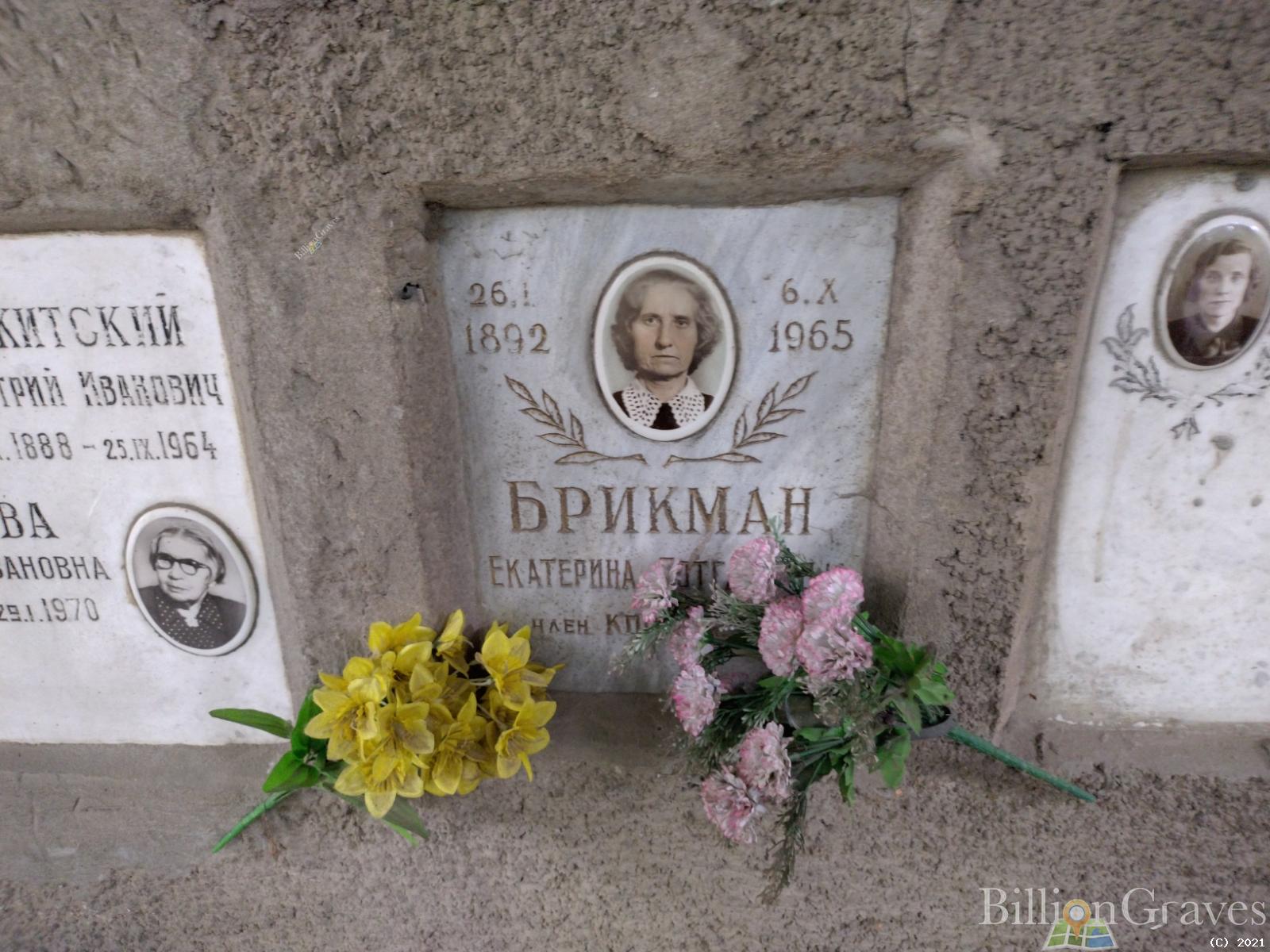Брикман Екатерина