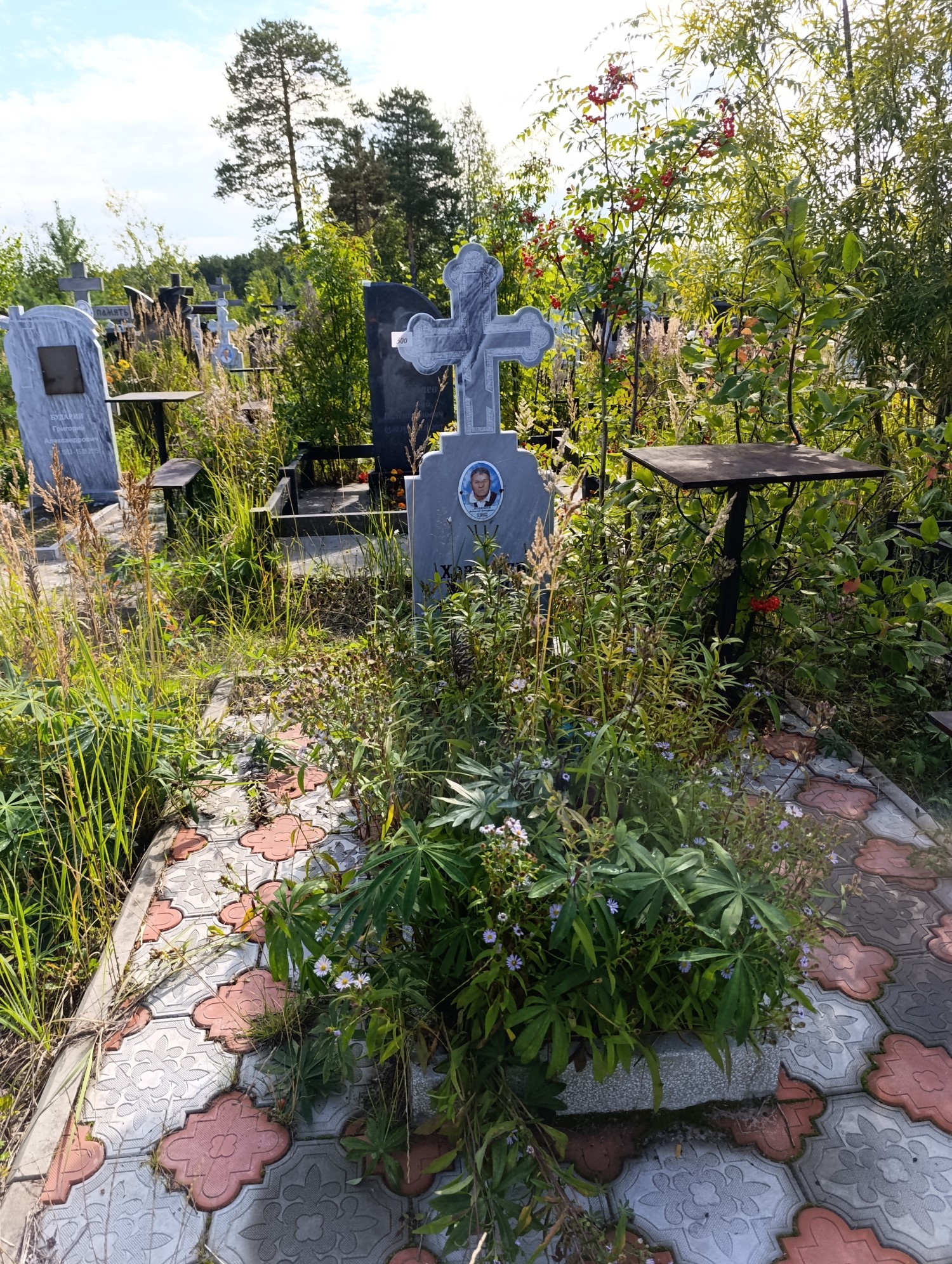 Хозяшев Виталий Алексеевич