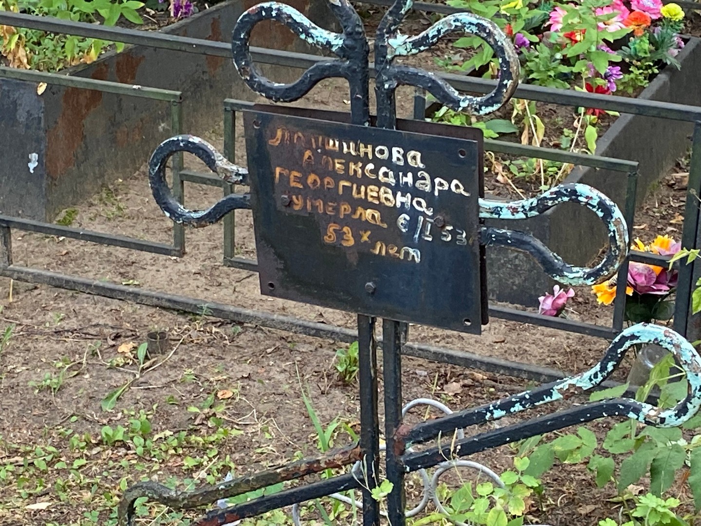Лапшинова Александра Георгиевна