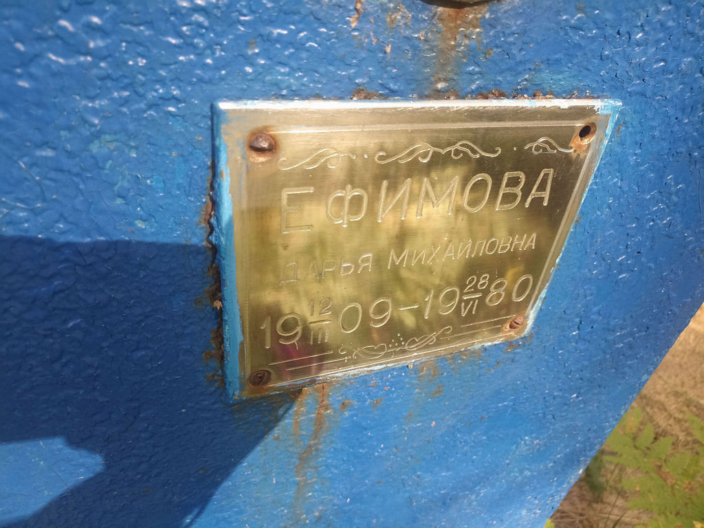 Ефимова Дарья Михайловна
