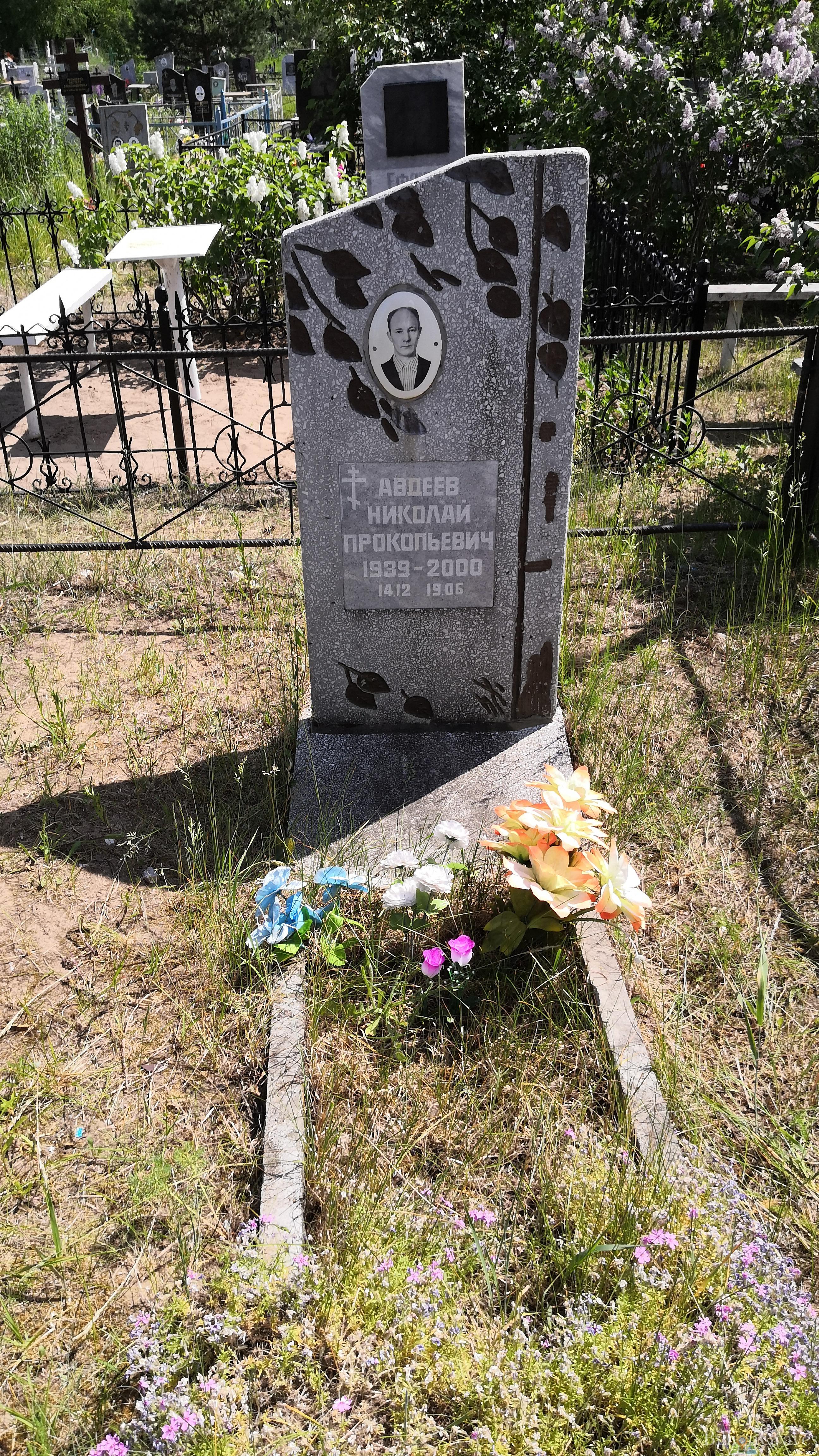 Авдеев Николай Прокопьевич