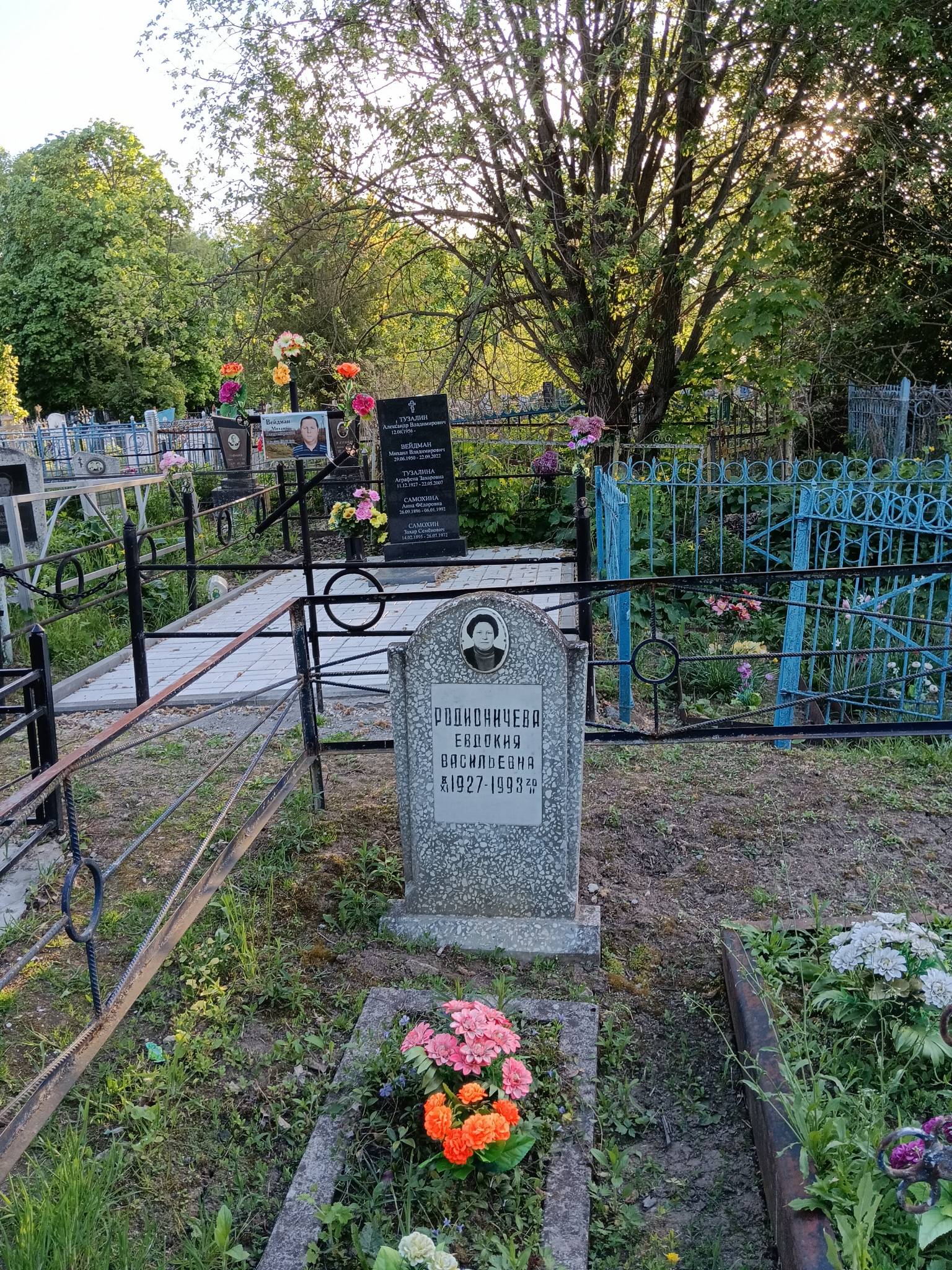 Самохина Анна Федоровна