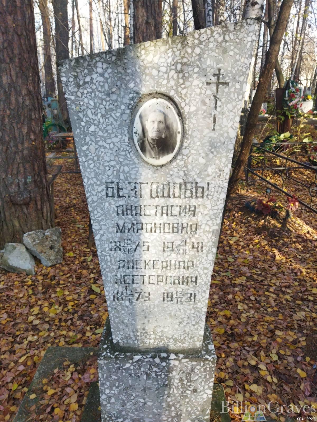 Безгодов Александр Нестерович