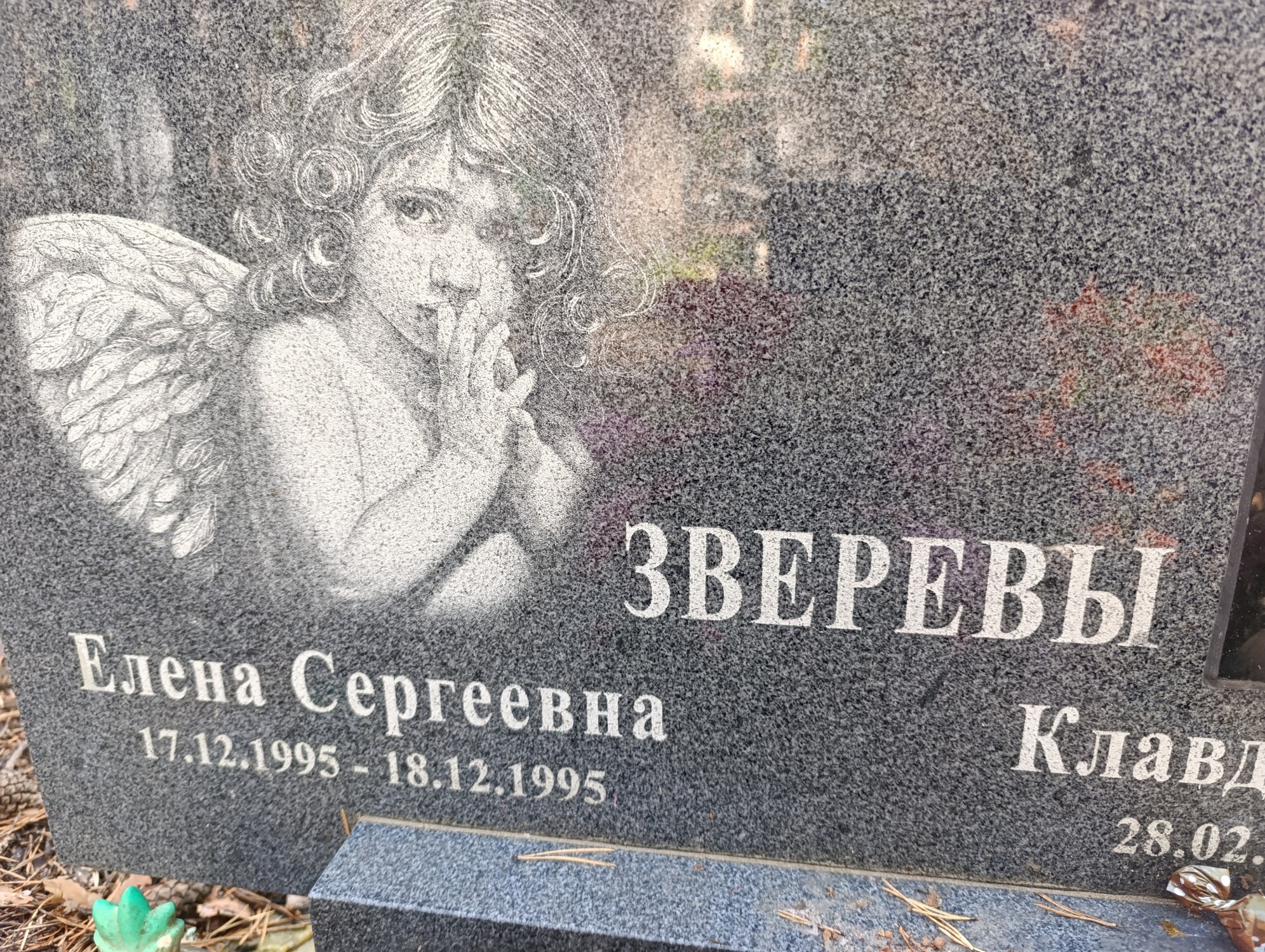 Зверева Елена Сергеевна