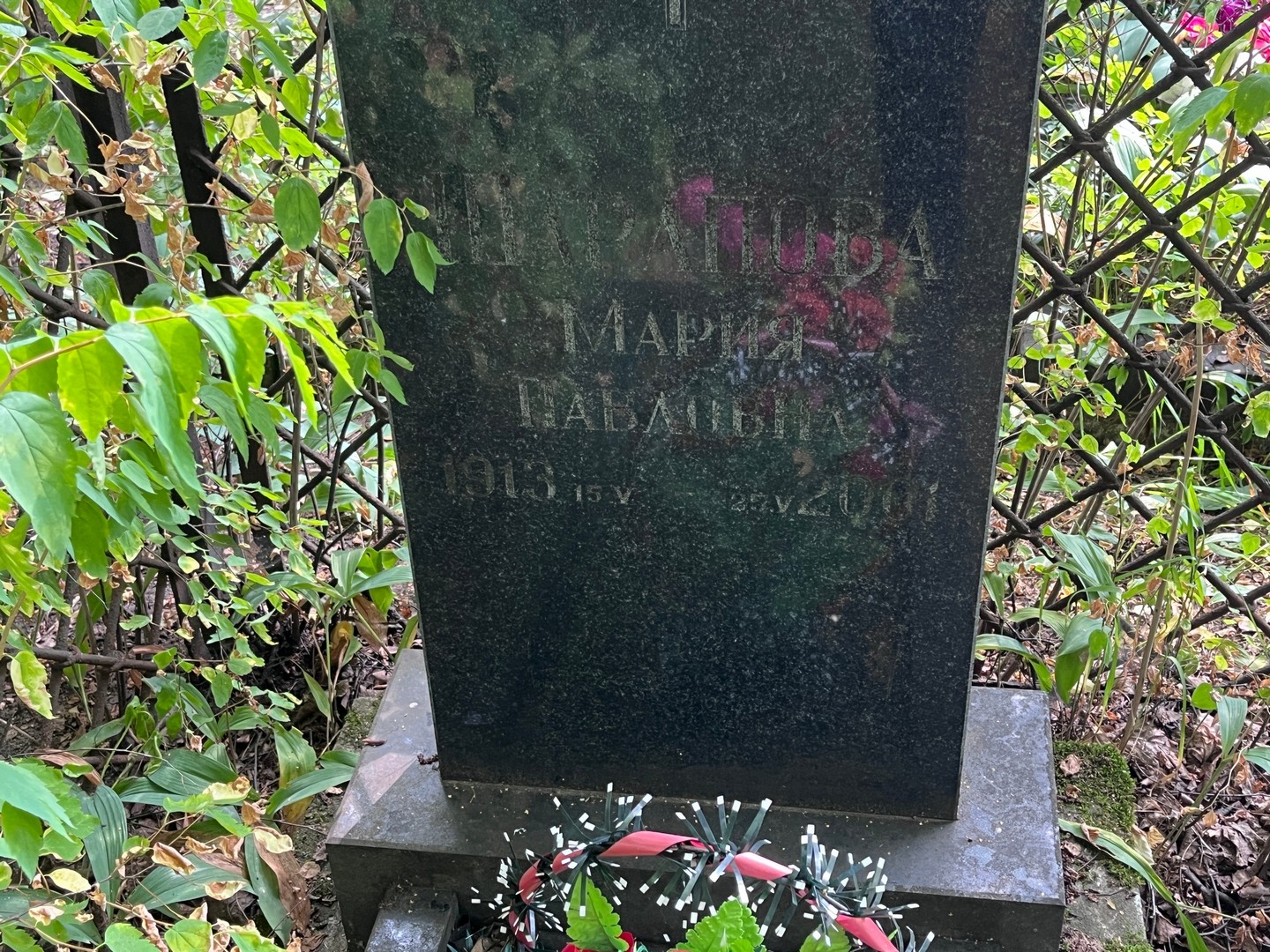 Шарапова
