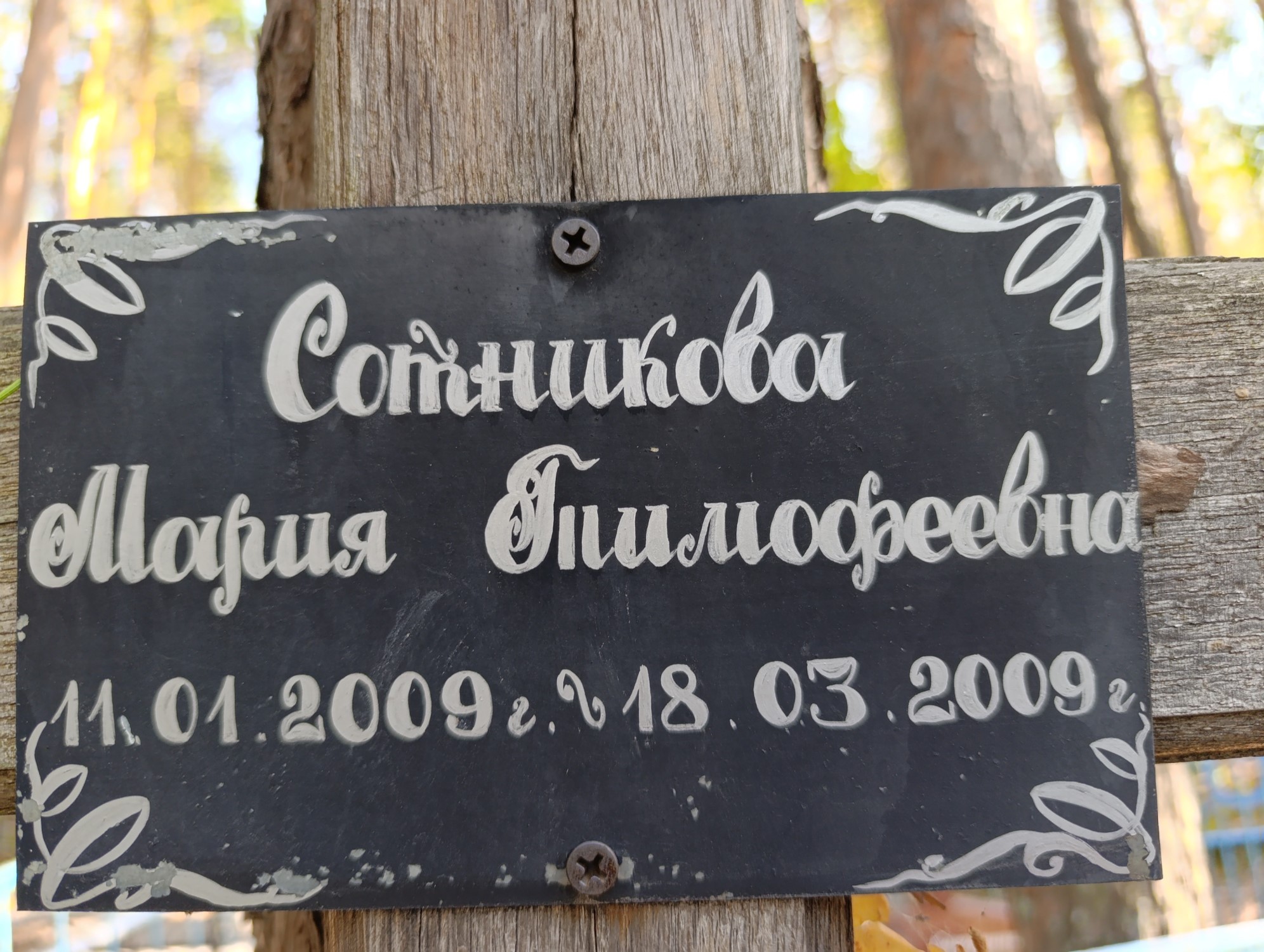 Сотников Мария Тимофеевна