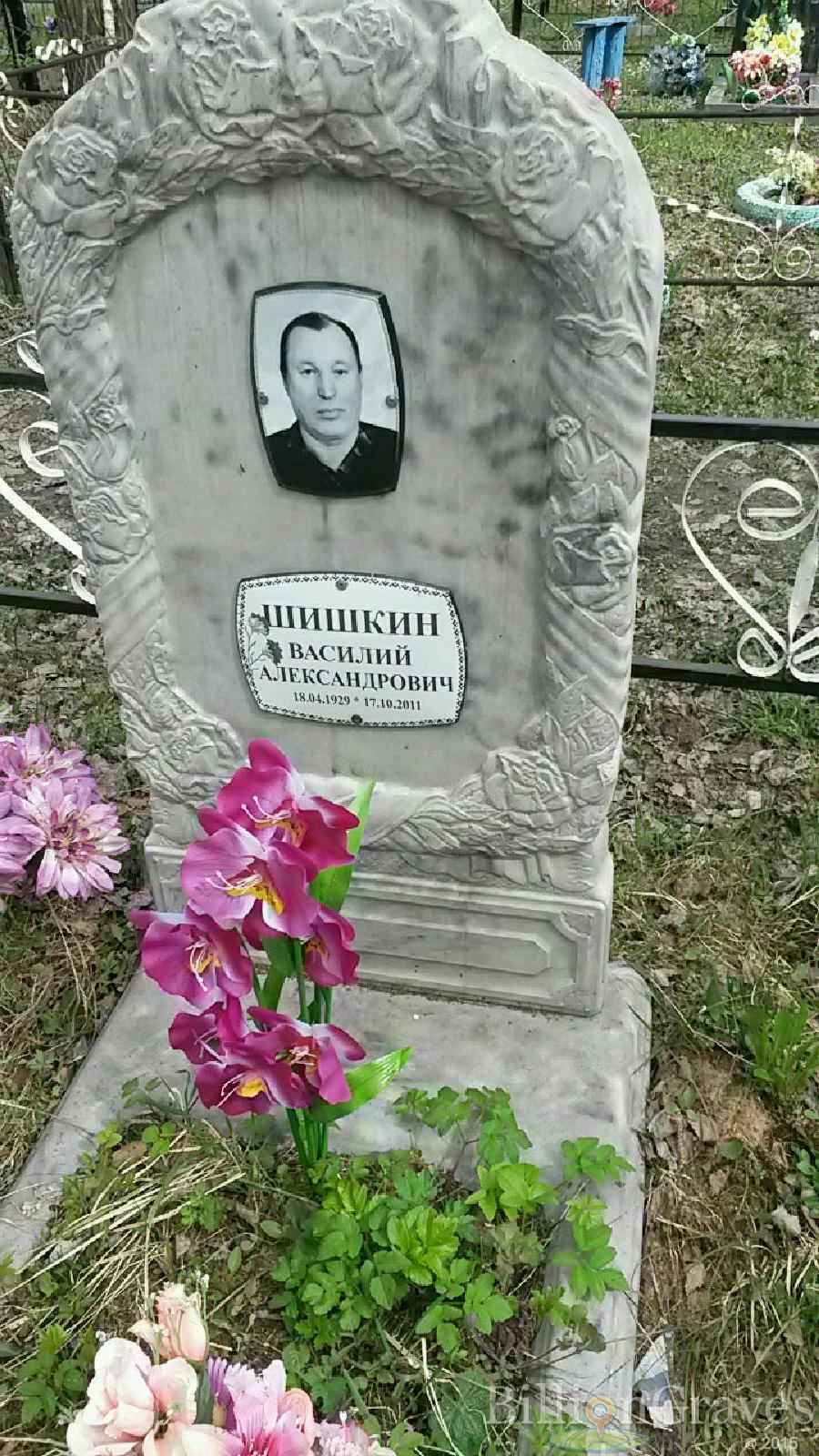 шишкин василий александрович