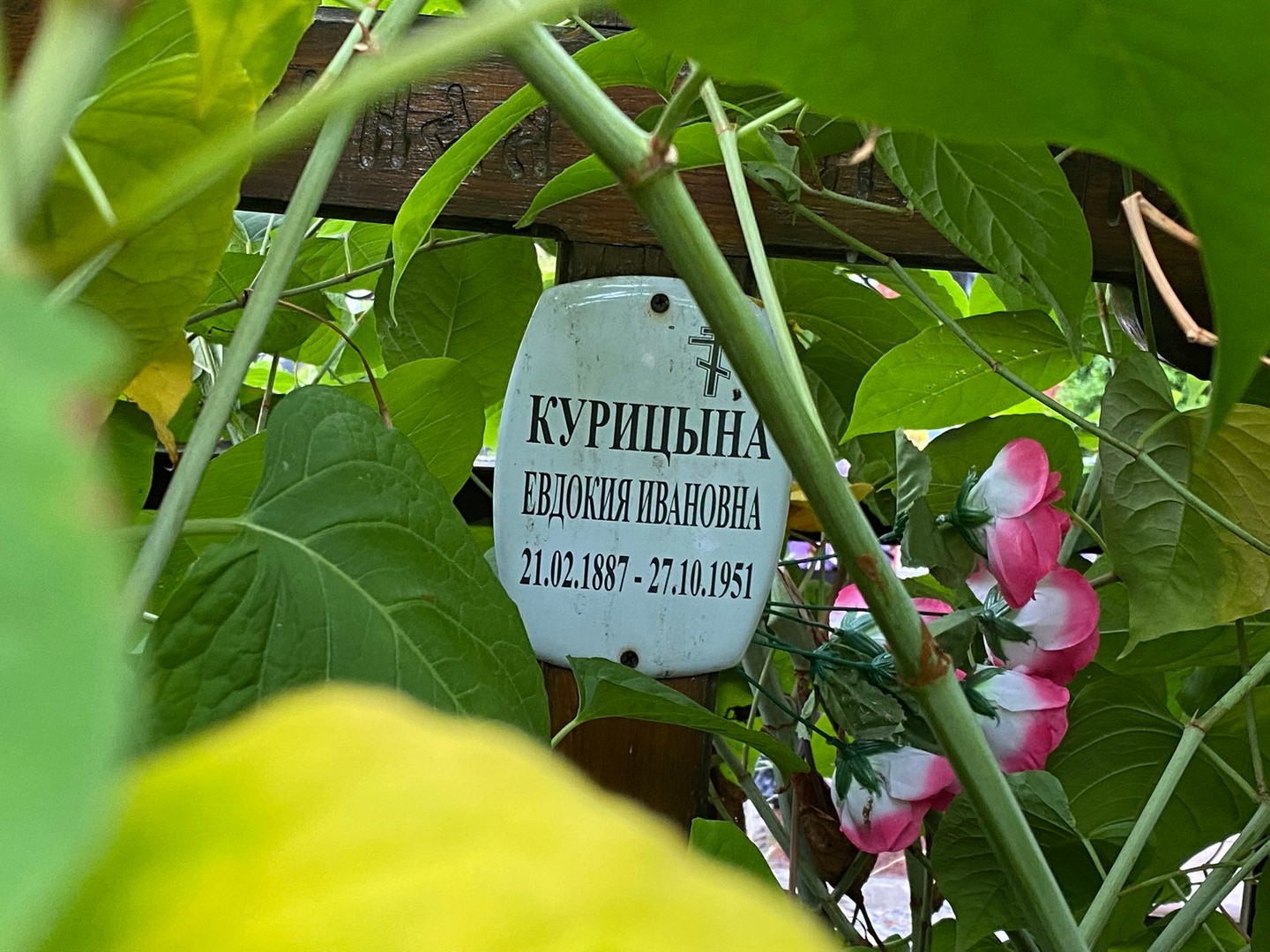 Курицына
