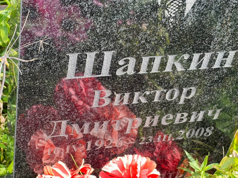 Шапкин