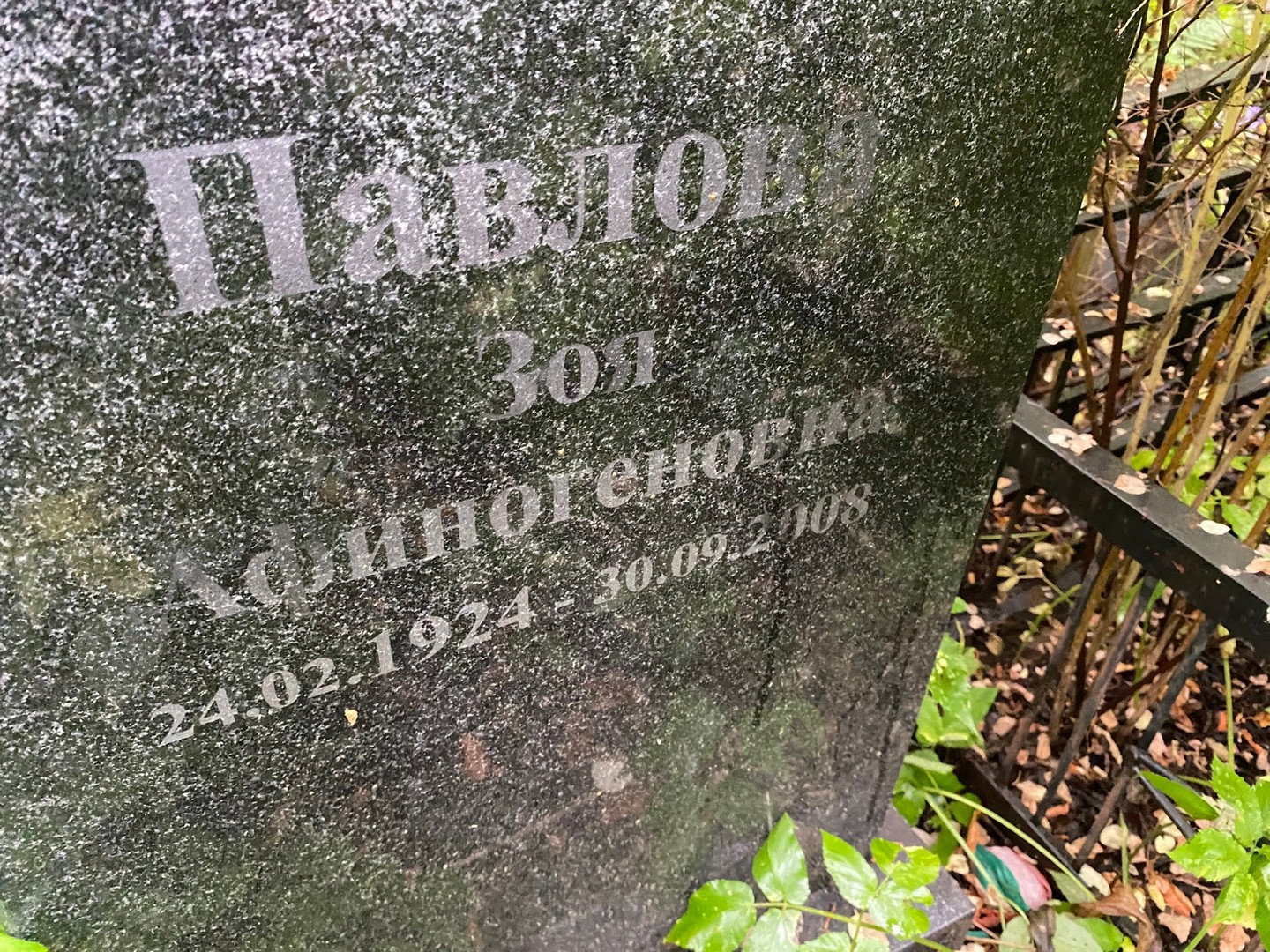 Павлова