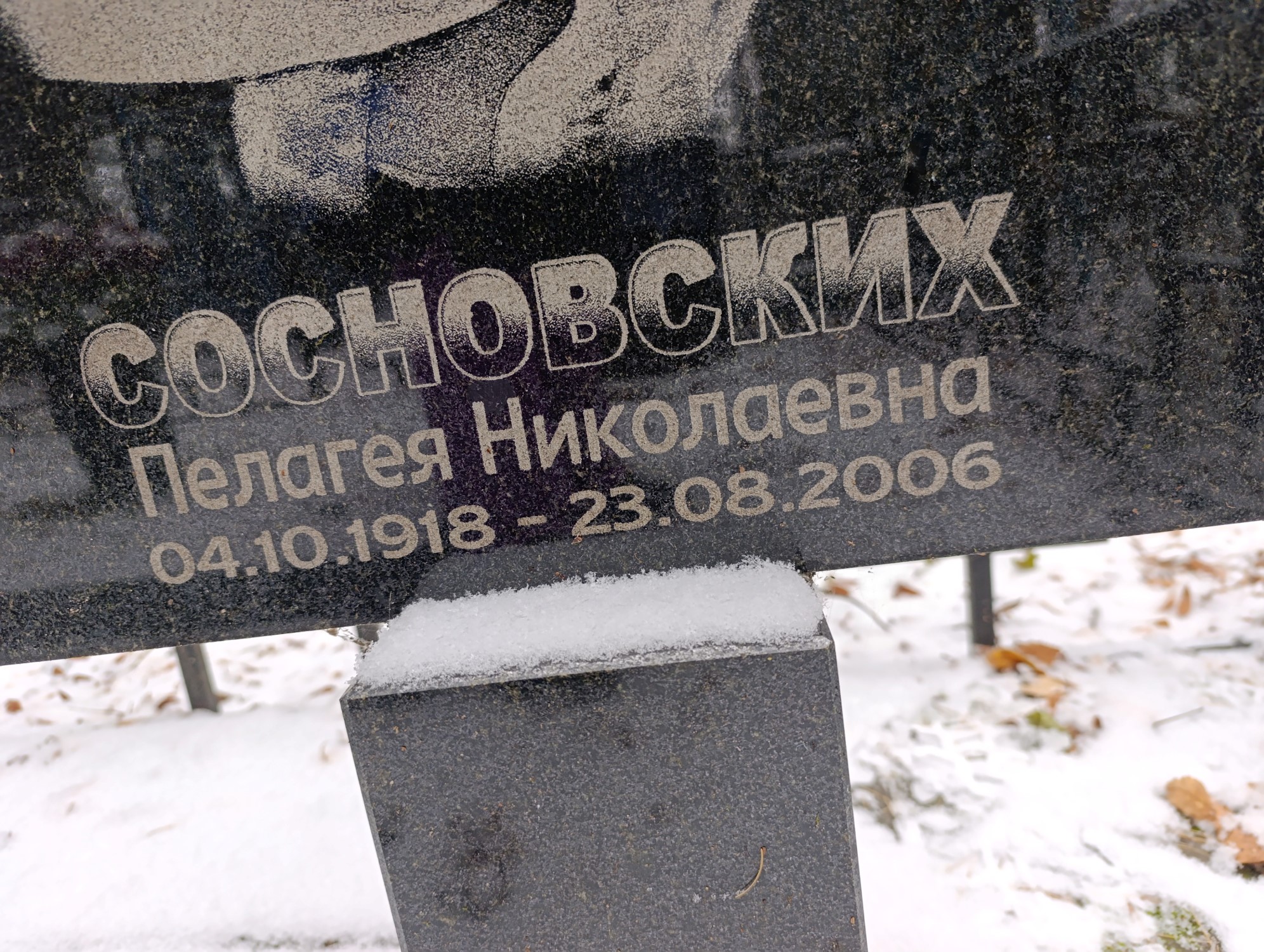 Сосновских Пелагея Николаевна